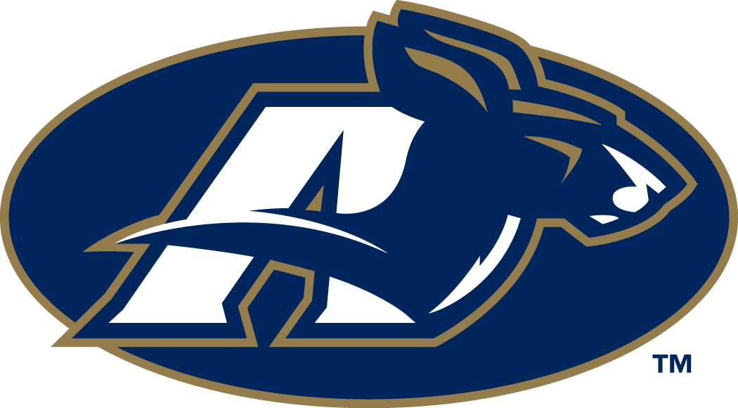 Akron Zips 2002-Pres Secondary Logo vinyl decal